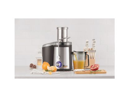 تصویر آبمیوه گیر تک کاره ناسا الکتریک مدلNS-918